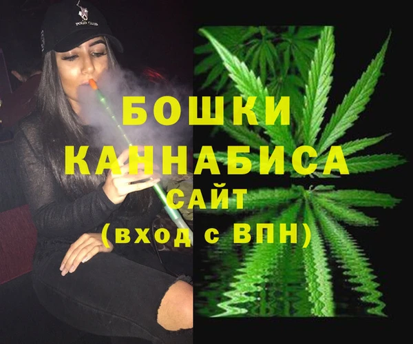 ешки Протвино
