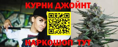 крисы Гагарин