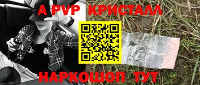ешки Гай