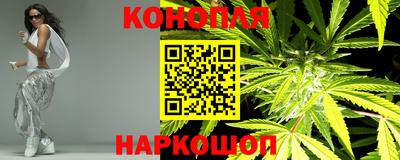 крисы Гагарин
