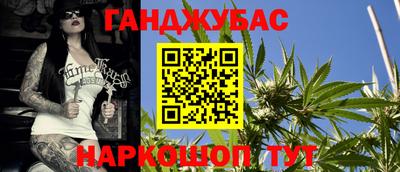 крисы Гагарин