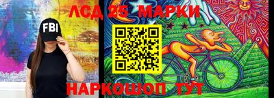 ешки Гай