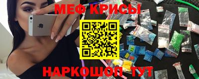 крисы Гагарин
