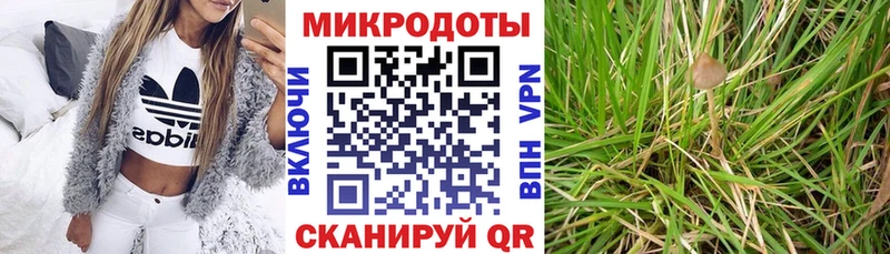 где можно купить наркотик  Анжеро-Судженск  Галлюциногенные грибы мухоморы 