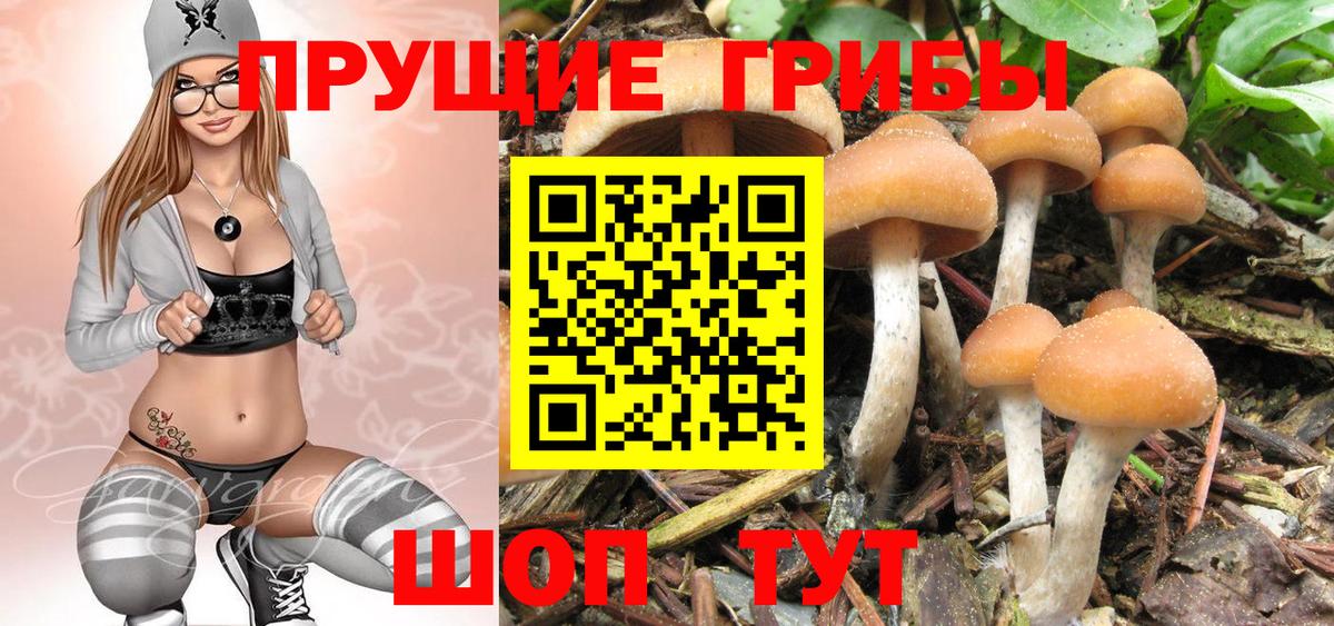 Анжеро-Судженск  Галлюциногенные грибы прущие грибы  Вход с VPN 