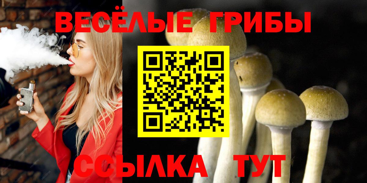 Псилоцибиновые грибы Magic Shrooms Анжеро-Судженск