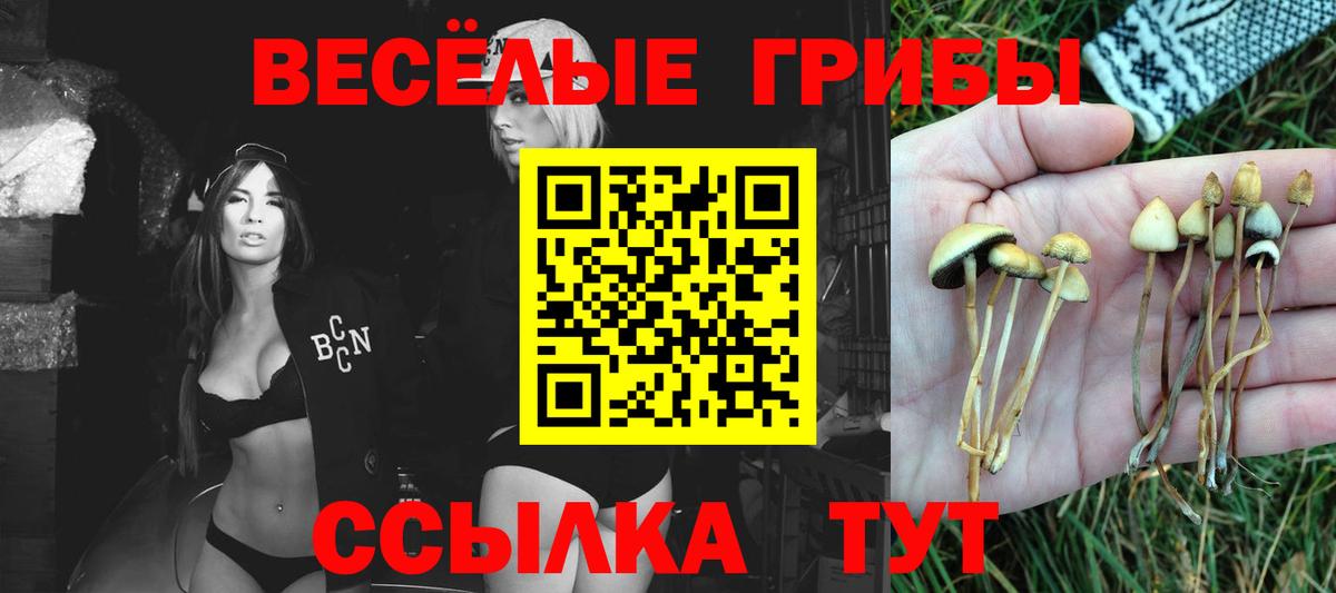 Анжеро-Судженск  Галлюциногенные грибы мицелий  Галлюциногенные грибы Magic Shrooms  Вход с VPN 